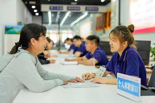 唐山零工市場 激活靈活就業新引擎，職業中介服務賦能勞動力市場