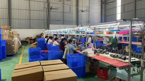 點(diǎn)贊！化州這個(gè)鎮(zhèn)“微工廠”遍地開(kāi)花，留守婦女掙錢(qián)顧家兩不誤