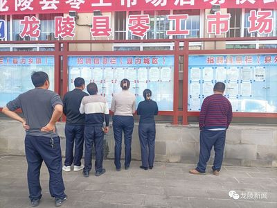 龍陵 多維度促進(jìn)就業(yè)創(chuàng)業(yè)，高質(zhì)量托穩(wěn)民生幸?！殬I(yè)中介服務(wù)的核心角色與創(chuàng)新實(shí)踐
