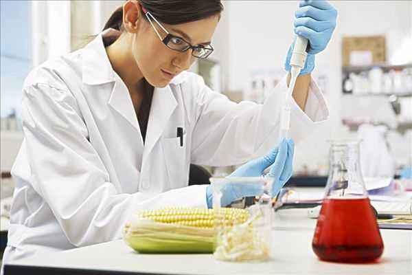 食品科學(xué)與工程專(zhuān)業(yè) 多元就業(yè)路徑與職業(yè)中介服務(wù)賦能